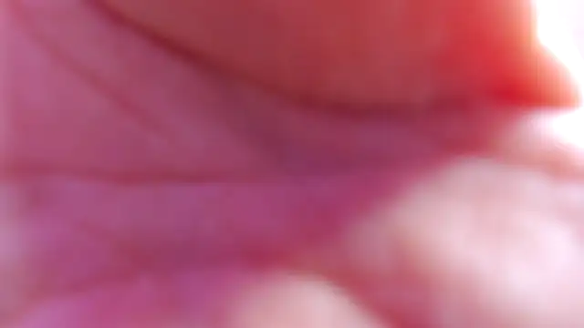 valentina clk online show from 20, 10, 2025