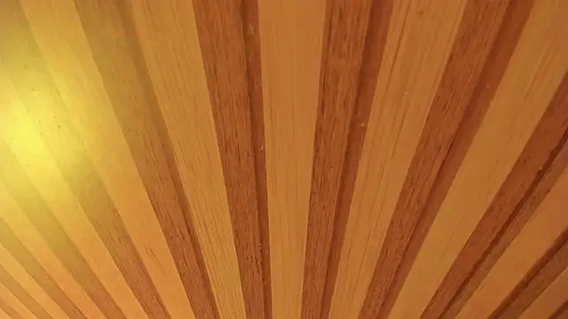 mia  blaze   online show from 13, 1, 2026