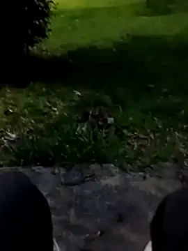 roludao fun online show from 9, 1, 2026