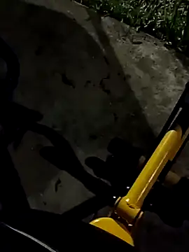 roludao fun online show from 11, 11, 2025