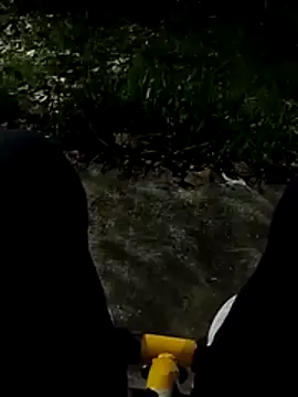 roludao fun online show from 27, 11, 2025