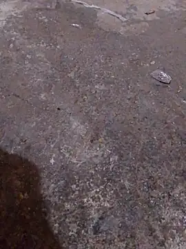 Snapshot of Orlao25cm chatting on 16, 11, 2025 Orlao25cm online show from 16, 11, 2025