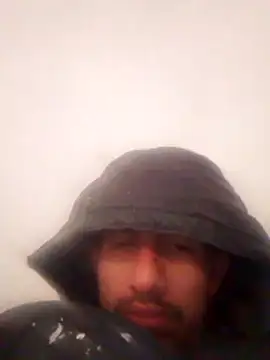 Orlao25cm online show from 22, 12, 2025