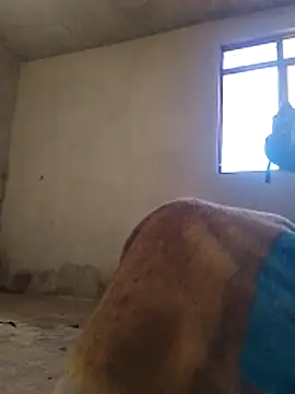 Snapshot of Orlao25cm chatting on 9, 11, 2025 Orlao25cm online show from 9, 11, 2025