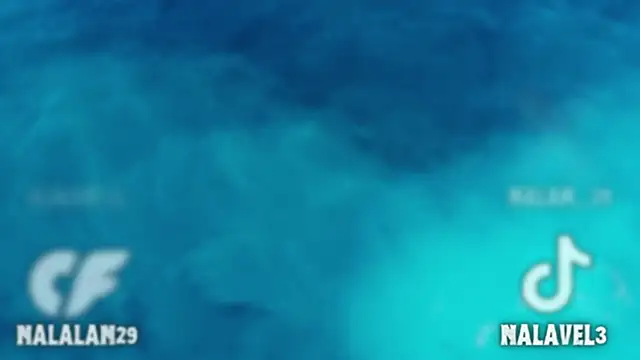 Nalan   online show from 29, 11, 2025