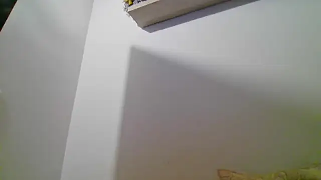 Snapshot of valeriahornier chatting on 16, 7, 2026 valeriahornier online show from 16, 7, 2026