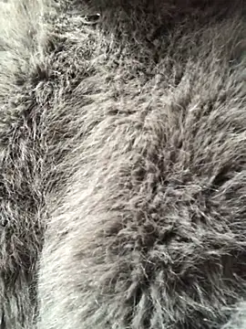 Kylie beem online show from 10, 2, 2026