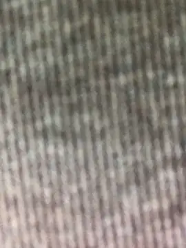 Kylie beem online show from 14, 2, 2026