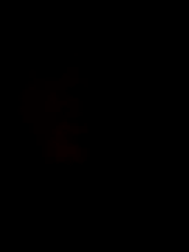 oraharoncohen online show from 31, 10, 2025