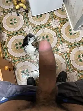 Anaconda Negra20 online show from 9, 4, 2026