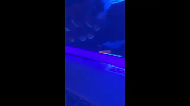 misterincred online show from 30, 11, 2025