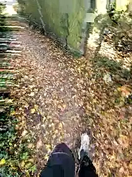 bbyxklaus online show from 2, 11, 2025