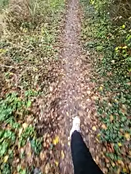 bbyxklaus online show from 15, 11, 2025