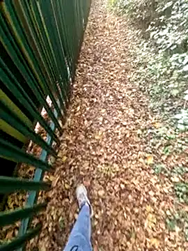 bbyxklaus online show from 4, 11, 2025