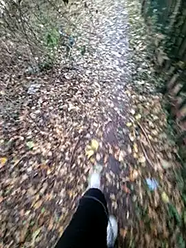 bbyxklaus online show from 6, 11, 2025