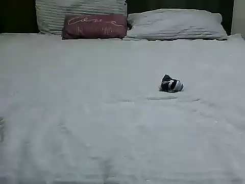 Evelyn evasara online show from 20, 11, 2025