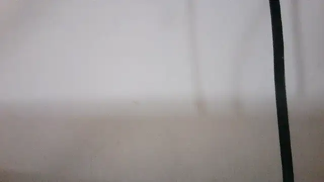 NATTYDOLL74 online show from 4, 2, 2026