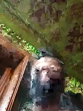 Felicity-204 online show from 19, 10, 2025