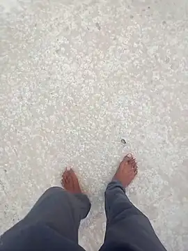 kumarstelugu online show from 24, 2, 2026