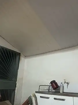 wellingtonmds online show from 2, 12, 2025