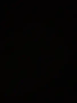 wellingtonmds online show from 4, 11, 2025