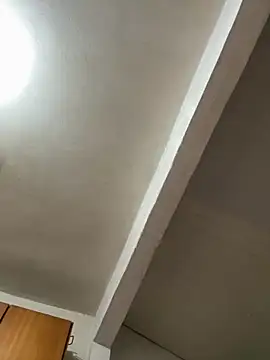 wellingtonmds online show from 23, 11, 2025