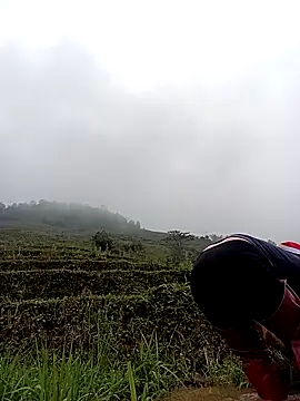 kokoto-59 online show from 11, 3, 2026