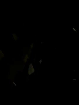 Paapii1098 online show from 21, 12, 2025