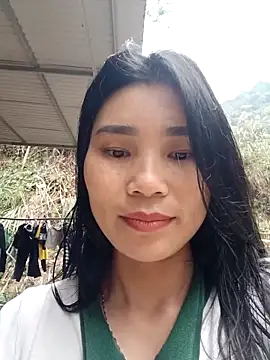 Bear bear0 online show from 7, 2, 2026