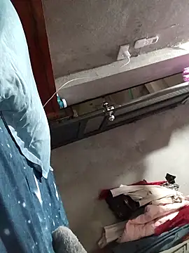 Bear bear0 online show from 12, 3, 2026