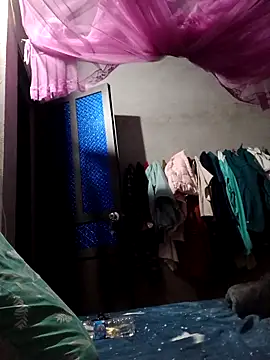 Bear bear0 online show from 17, 3, 2026