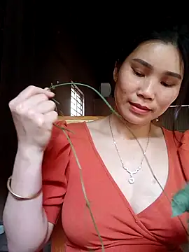 Bear bear0 online show from 26, 3, 2026