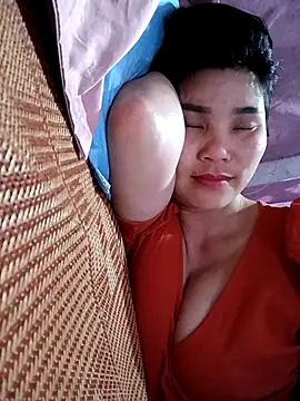 Bear bear0 online show from 20, 4, 2026