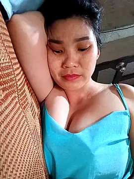 Bear bear0 online show from 15, 4, 2026