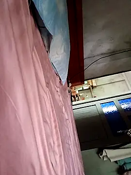 Bear bear0 online show from 14, 4, 2026