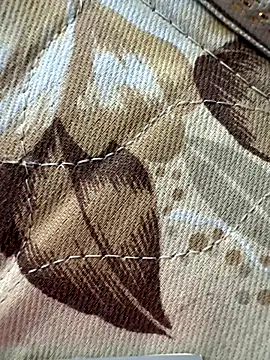 cheems232 online show from 28, 11, 2025