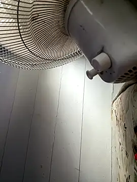 cheems232 online show from 22, 11, 2025