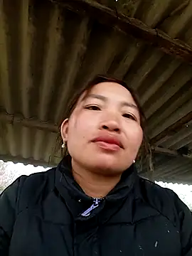 sowbibi online show from 8, 2, 2026