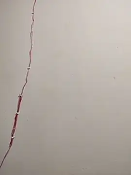 cutepussy356 online show from 5, 12, 2025