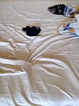 cutepussy356 online show from 12, 3, 2026