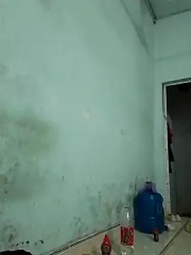  LAN  online show from 31, 10, 2025