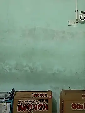  LAN  online show from 11, 11, 2025