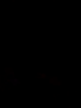  LAN  online show from 9, 3, 2026