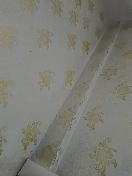 VendedPants online show from 16, 12, 2025