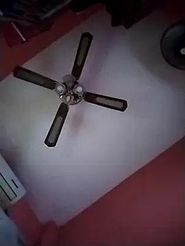 Danii2005 online show from 30, 10, 2025