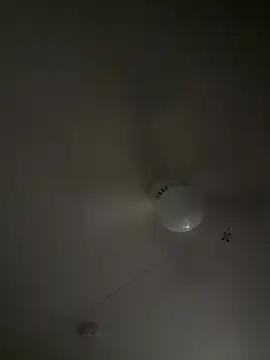 Snapshot of D13ON3L chatting on 8, 11, 2025 D13ON3L online show from 8, 11, 2025