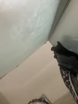 gatitalocahot online show from 13, 4, 2026