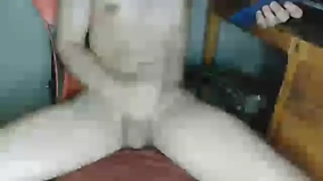 DevilDgrim online show from 25, 5, 2026