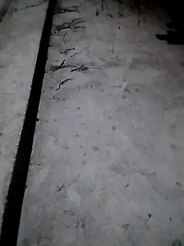 rickkis2k online show from 17, 12, 2025