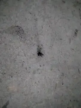 rickkis2k online show from 21, 12, 2025